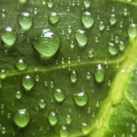 55470118780_c284413bd8_b