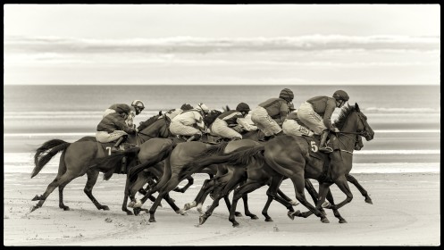 Seaside Gallop