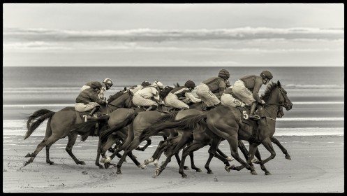 Seaside Gallop