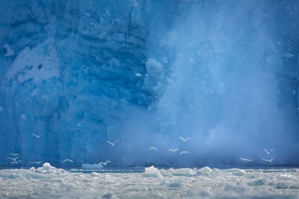 Icefall