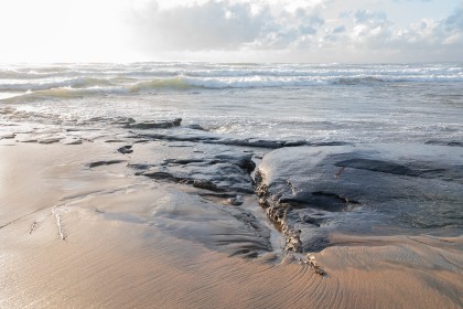 The Beauty of the shore