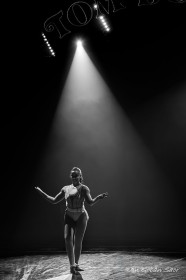 All the Word's a Stage