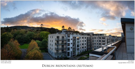 Dublin Mountains (Autumn)