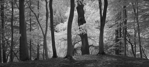 Powerscourt
