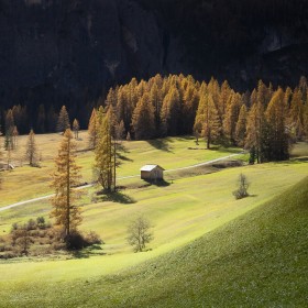 Lone Hut
