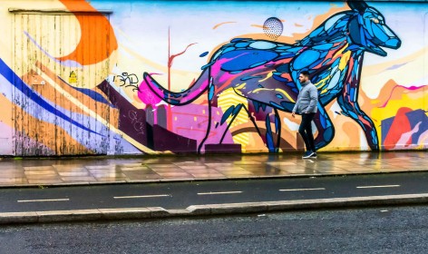 Different Doors by Frazer Meredith