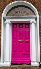 Shocking Pink by Frazer Meredith