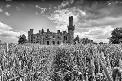 Duckets Grove by Jean Clarke