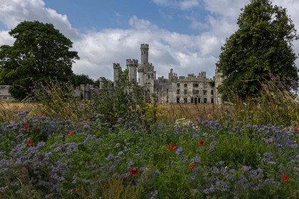 Duckett's Grove by Eithne O'Leary