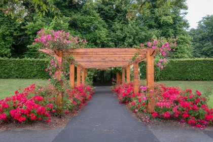 Pergola View by Sylvia Hick