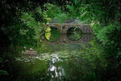 Reflective Bridge by Pat Divilly