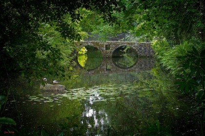 Under the Bridge by Pat Divilly