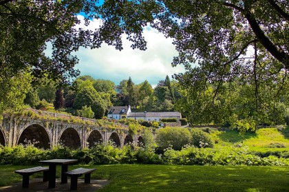 Inistioge Bridge Framed by Pat Divilly