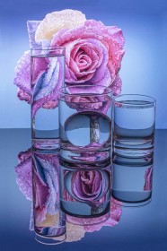 The rose and refraction