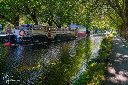 *The Grand Canal* - Dublin