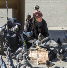 The Pigeon Lady