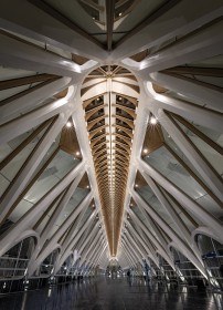 Concourse, Gare de Mons