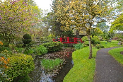 Crossing tne Bridge - Japanese gardens Kildare