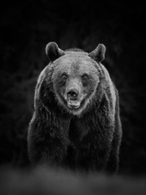 Just bearable