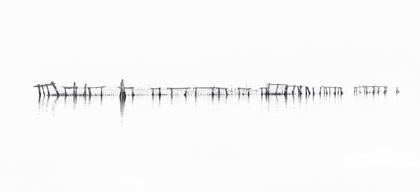 Pellestrina Fishing Lines