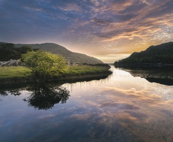 Hawthorn reflection