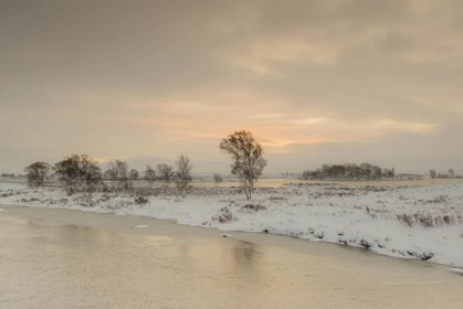 Winter's Morning by Helen Black