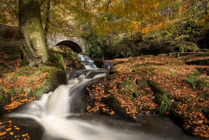 Autumn at Cloughlea by Mary Hahn