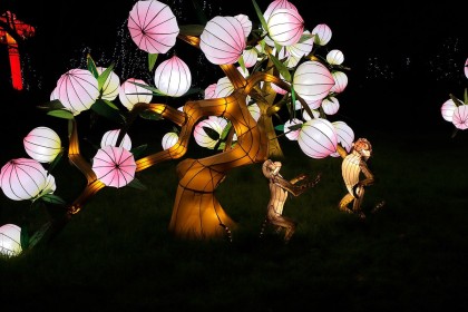 Lanterns and Monkeys by Noreen Casey