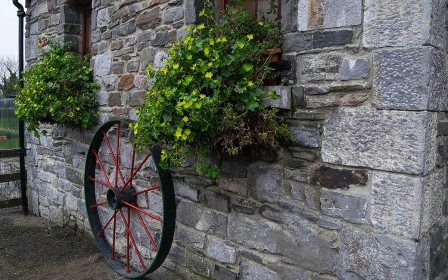 Mill Wheel by Pearl Walsh