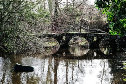 The Bridge by Liam Haines