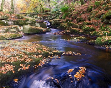 Highly Commended: Autumn River by Jean Clarke