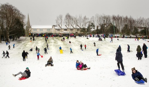 Snow Fun at Bushy Park by Joe Tulie