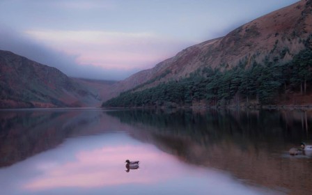 1st: Glendalough Morning by Jean Hartin