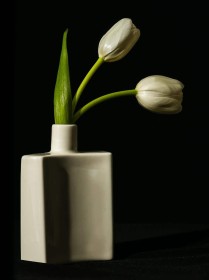 White Tulips and Flask by Hilda McInerney
