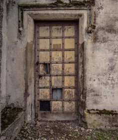 Ancient Door Duckett's Grove, Co Carlow by Jean Hartin