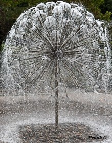 Thistle Fountain by Frank Gaughan