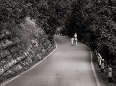 Highly Commended: Long Way Home by John Wiles