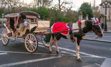Festive Carriage by Jean Hartin