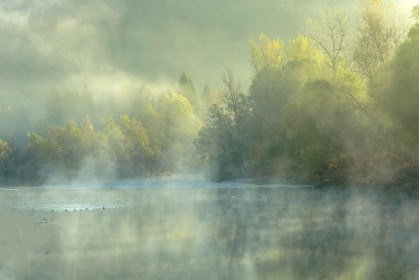 1st: Misty Morn by Colin Ball