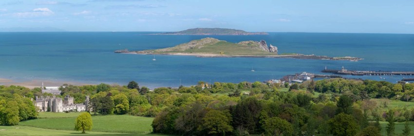 View from top of Howth Rhodendron Walk by Jean Hartin