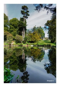 Kilmacurragh Pond by Frank Gaughan