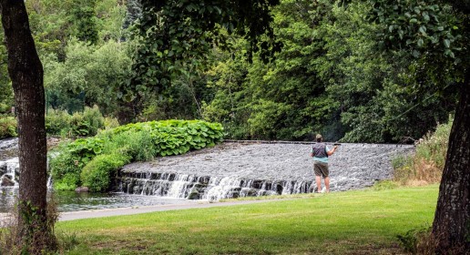 Fishing on the Dodder by Peter Brennan
