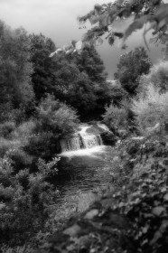 Milltown Waterfall by Wendy Hannon