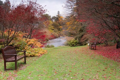 Mount Usher View by Sylvia Hicks