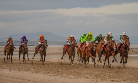 Highly Commended: Laytown Races by Sylvia Hick