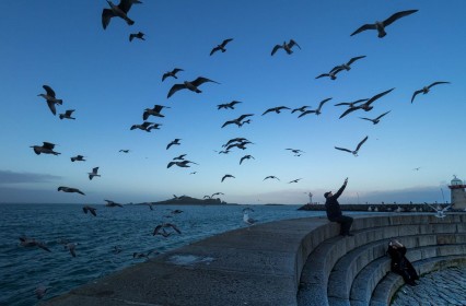 Peter Brennan - Feeding the seagulls in Howth