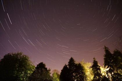Highly Commended: Backgarden Stars by Aoife Carty