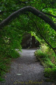 Altamont Archway by Gerry Moloney