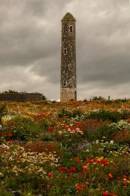 Path of Flowers to Portrane Round Tower by Pat Divilly