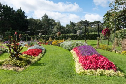 Botanic Gardens Floral Design by Sylvia Hick
